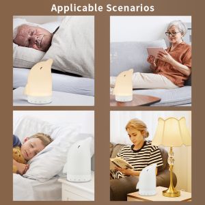 MUSIC DOLPHIN Humidifier Aromatherapy Lamp White Noise Sleep Device (Bedroom