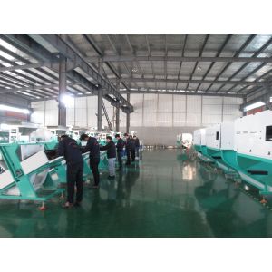 The Newest High Capacity Dal/Pea/Wheat/Grain/Nut/Seed/Bean Color Sorter