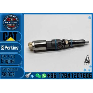 Common Rail Injector 456-3544 20R-5079 456-3493 367-4293 363-0493 20R-5077 456