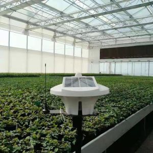 Indoor Greenhouse Monitoring System 0-40000PPM Intelligent Weather Controller
