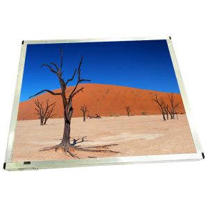 Wholesale 21.3 inch 2560*2048 R213TFE-L54 LCD Monitor Screen Display Parts from china suppliers