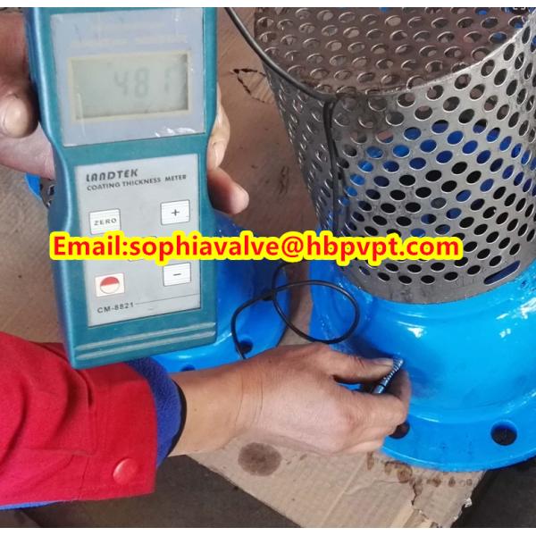 PN16 GG25 cast iron foot valve