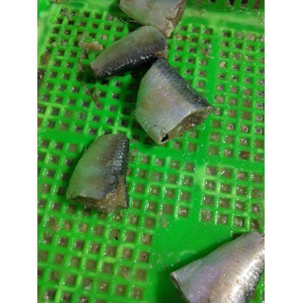 Competitive Price Delicious Fresh Material Sardines Fish Canned in Tomato Sauce