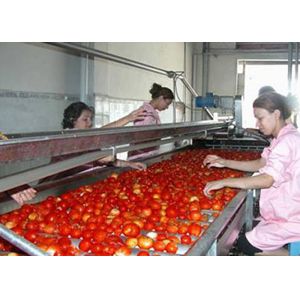 Customized Capacity Tomato Processing Line with Aseptic Filling and Automated