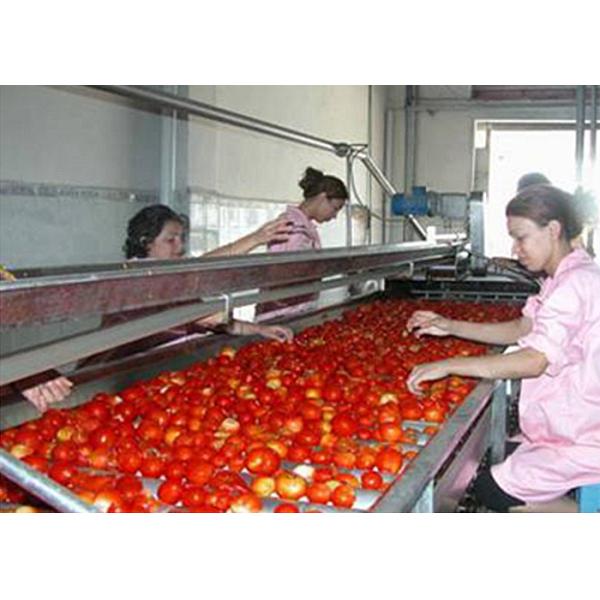 China Sus304 Tomato Processing Line Tomato Paste Making Machine 3 / 5 Tons Per Hour on sale China Sus304 Tomato Processing Line Tomato Paste Making Machine 3 / 5 Tons Per Hour on sale