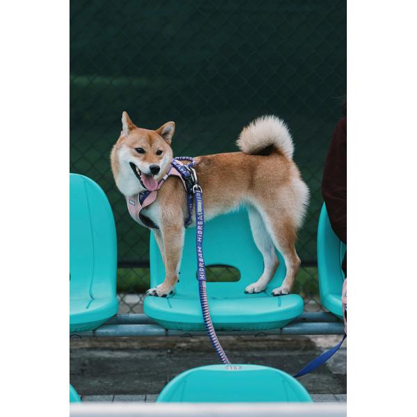 Tactical No Pull Dog Walking Harness Front Clip Reflective Outdoor Training