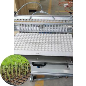 Customised Nursery Seeding Machine with Automatic Seed Planting and CE