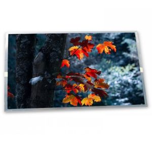 Wholesale A-Si TFT-LCD 8 Inch 800(RGB)*480 TX20D28VM2BPB High-quality Services Lcd Module from china suppliers