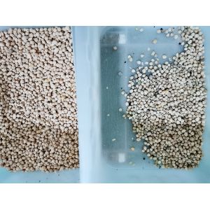 5t/H Chickpea Separator Machine Stainless 304 food grade Hopper