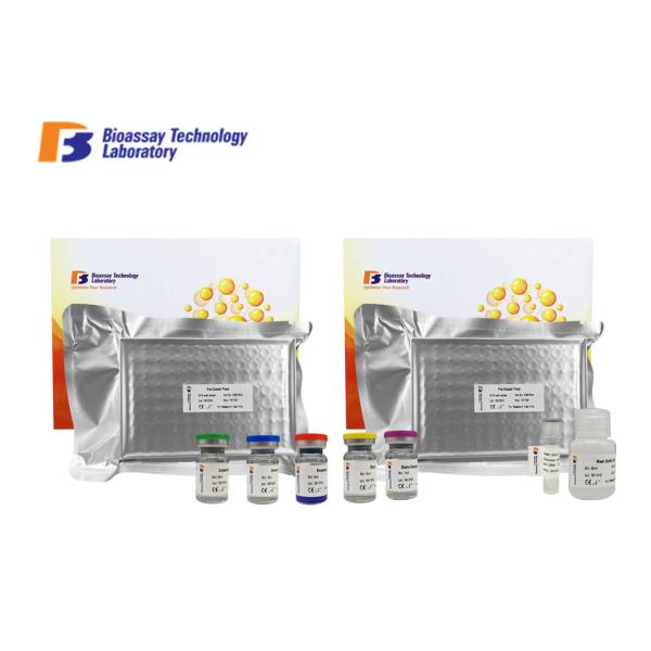 TNFRSF6 Enzyme Immunoassay Kit Human Tumor Necrosis Factor Receptor Superfamily