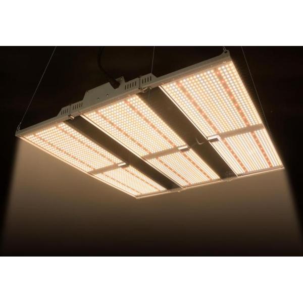 RikoLite 650W Foldable Dimmable LED Grow Lights Quantum Board led plant lights