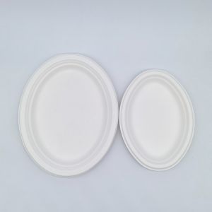Environmental Protection Sturdy Biodegradable Bagasse Plates Bagasse Pulp