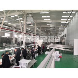 Industrial Mesh Belt Conveyor Dryer Machine Dry Fruit Slicing Machine For