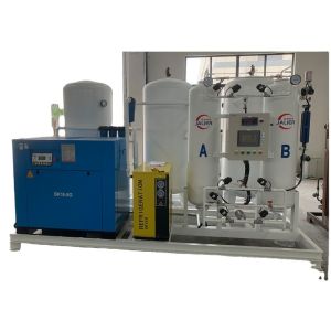 40 nm3/h Nitrogen Gas Generator for Other Industries Perfect for Customer
