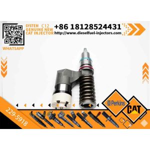 New Common Rail Fuel Injector 223-5328 229-5918 20R-0055 10R-0725 for C12 Diesel