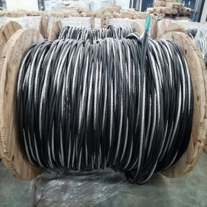 0.6/1kv 2/4/6AWG XLPE Insulated ABC Cable for Duplex Service Drop Electrical