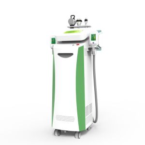 Wholesale Newly-designed!!! The most featured Cryolipolysis Slimming Apparatus Green Vertical from china suppliers