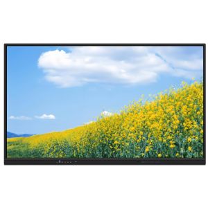 65'' Interactive Flat Panel Smart TV Touch Screen for Conference（Entry-level）