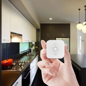 CH4 Methane LPG Propane Double Gas Alarm Detector For Home Security