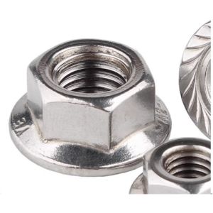 M10 M12 Stainless Steel Hex Flange Nut SS304 316 316L Polish Plain Finish