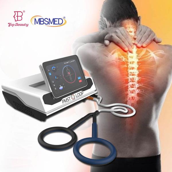 Pemf Loop Equine Pmst Loop Physical Therapy Magnetic Pmst High Powered Magneto Pemf Therapy Machine for Human and Horse