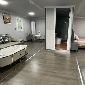 Customizable Modular Home 20FT Portable Expandable Container House