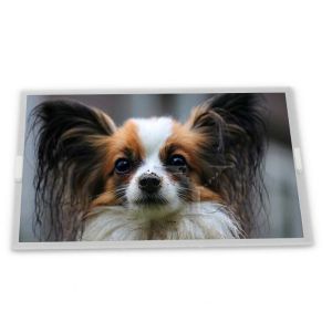 Wholesale 3.0-Inch WLED TFT LCD Display Module T-64877GD031ZU-T-AEN 240*400 Resolution Specific Application for ODM Suppliers from china suppliers