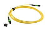 Black MPO Patch Panel 12 Ports Fiber Optic ODF 1U Rack Mount