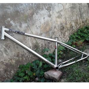 Wholesale 26er Chromolly Steel Dirtjump Frame Slope Style CR520 Titanium Chromed 12.5" Disc Brake from china suppliers