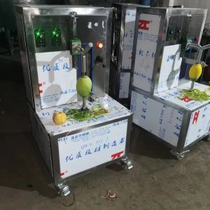 mango debarker machine/mango processing machine/mango peeling machine