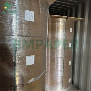 Degradable Food Grade Kraft Paper Roll 20gsm - 50gsm for Coffee Filtering