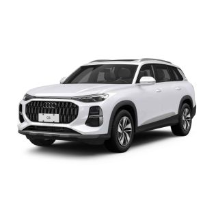 Audi Q6 2024 Medium And Large SUV 40TFSI Quattro Cloud-watching Feather Forest