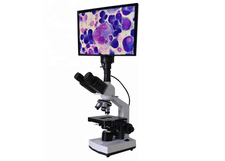 LCD Microscopy Biology Discussion WF10X 400X Bright Field Microscope Biology
