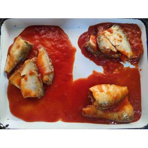 Wholesale Canned Mackerel In Tomato Sauce A Delicious And Nutritious Snack from china suppliers