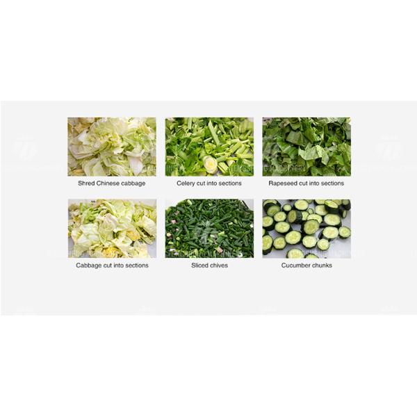 Crumbling Homogenization Industrial Fruit Slicing Machine Vegetable Papaya Tengsheng