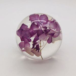 Real Flower Paperweight Dia80mm With Hydrangea Inside