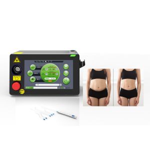China Class IV Medical Diode Laser System Portable  Lipolysis Laser 980nm 1470nm on sale