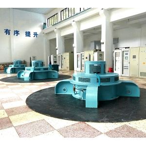 High Power 100-20MW 50-60Hz Water Powered Turbine Generator 220-11000V 5-30m
