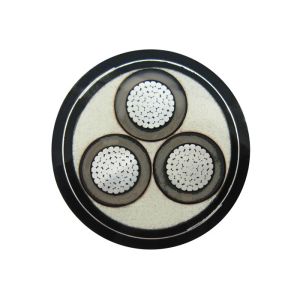 Shielded And Concentric Neutral Medium Voltage Power Cables Water And Seabed CSA