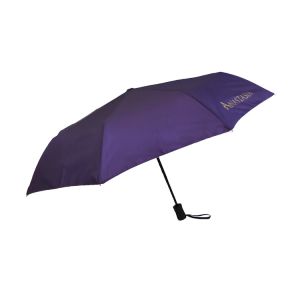 Automatic Windproof Travel Umbrella With Custom Logo Bright Digital Printing