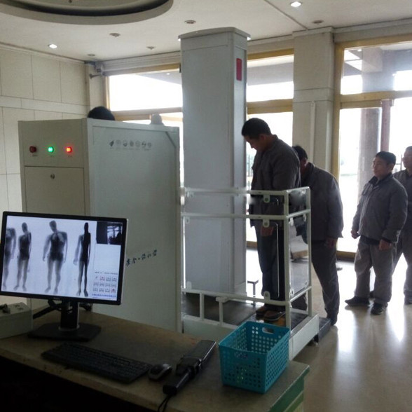 Quality 800W Full Body Metal Detectors ,  X Ray Walk Through Security Metal Detectors for sale