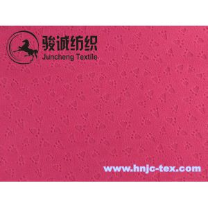 Single side embossed pattern polar fleece/coral fleece fabric for pajama and