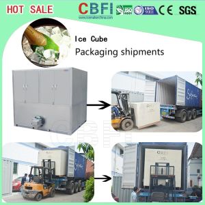 Auto Operation Ice Cube Machine , Industrial Ice Maker 10,000 Kg Daily Capacity