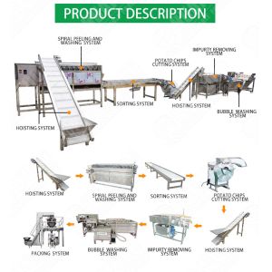 Full Automatic Clean Root Leafy Vegetable Asparagus Washing Processing Line