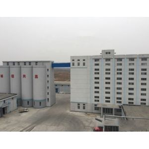 Wheat Flour Mills India 100000 KG Capacity Ideal for Commercial Maize Milling