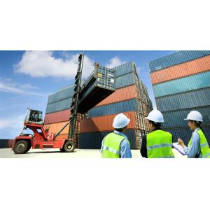 Export Declaration Import Clearance