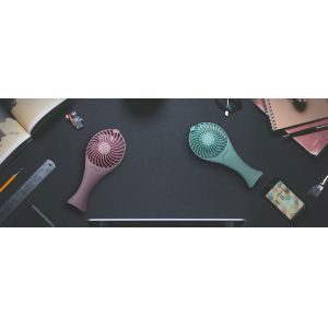 2 in 1 portable battery fan