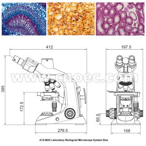 Infinity E - plan Aspheric Illumination Compound Optical Microscope A12.6603