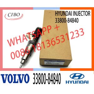 63229465 33800-82000 63229466 33800-84820 ELIC Engine Common Rail Fuel Injector