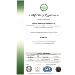 Dongguan Lixiang Energy Technology Co., Ltd. Certifications